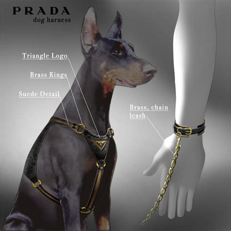 prada collar for dog|designer female dog collars.